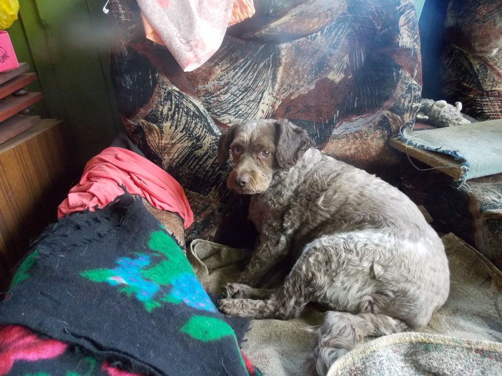 Фотография автора Алексей Власов