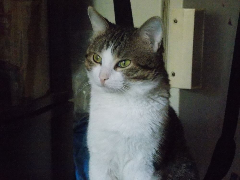 Фотография автора Алексей Власов