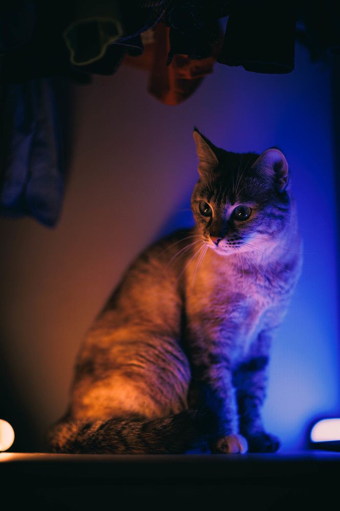 Photograph by Ника Обида