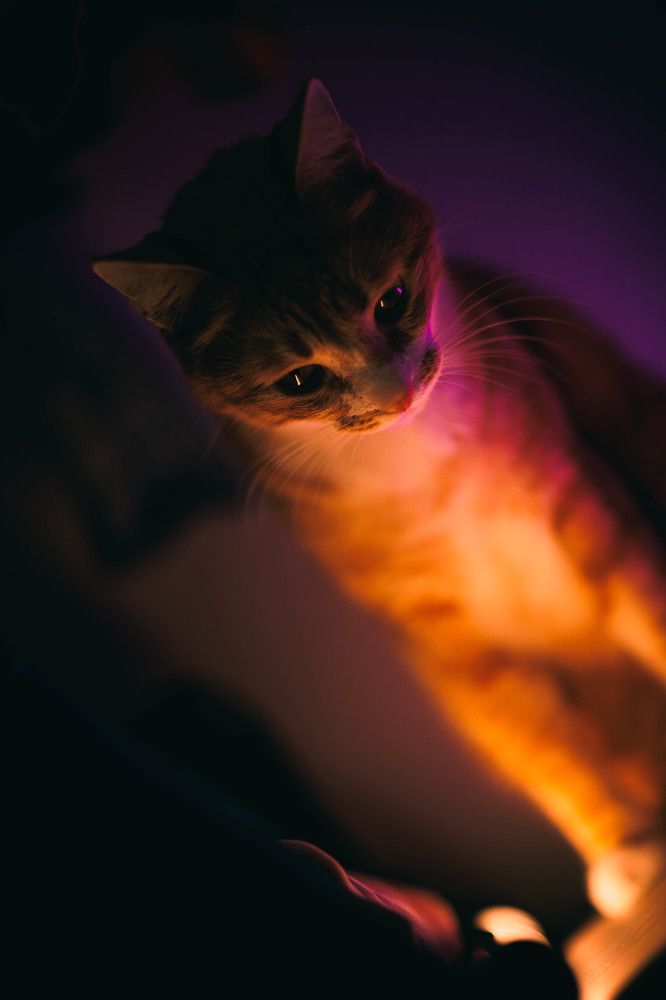 Photograph by Ника Обида