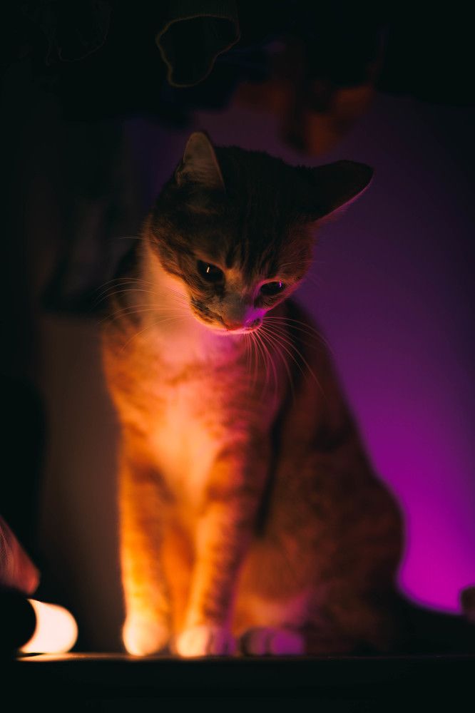 Photograph by Ника Обида