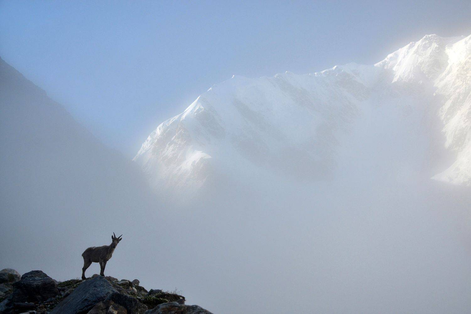 Photo #11552630