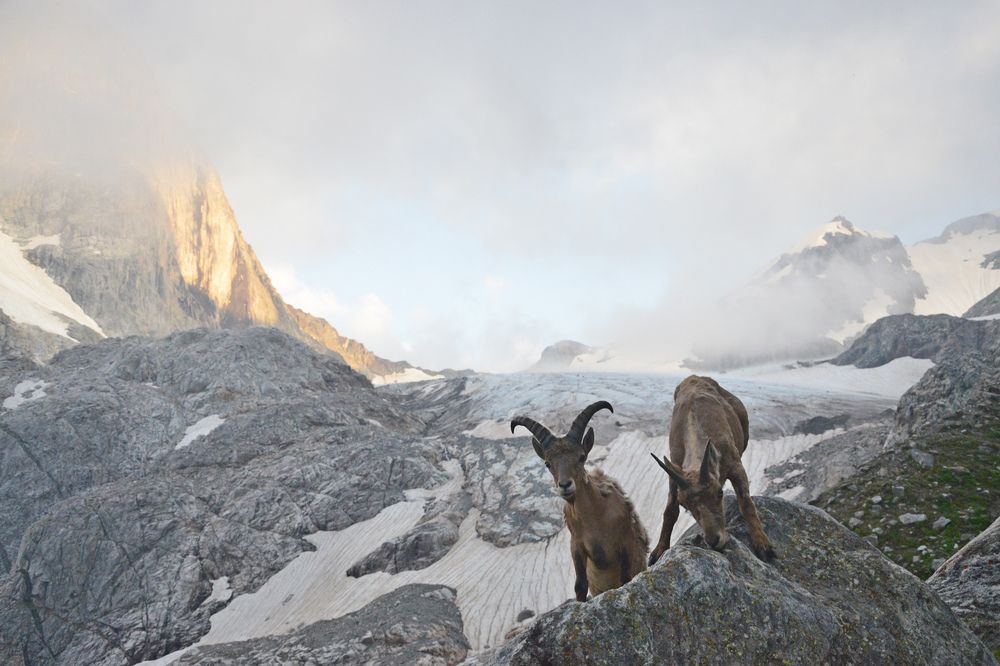 Photograph by Николай Кувшинов