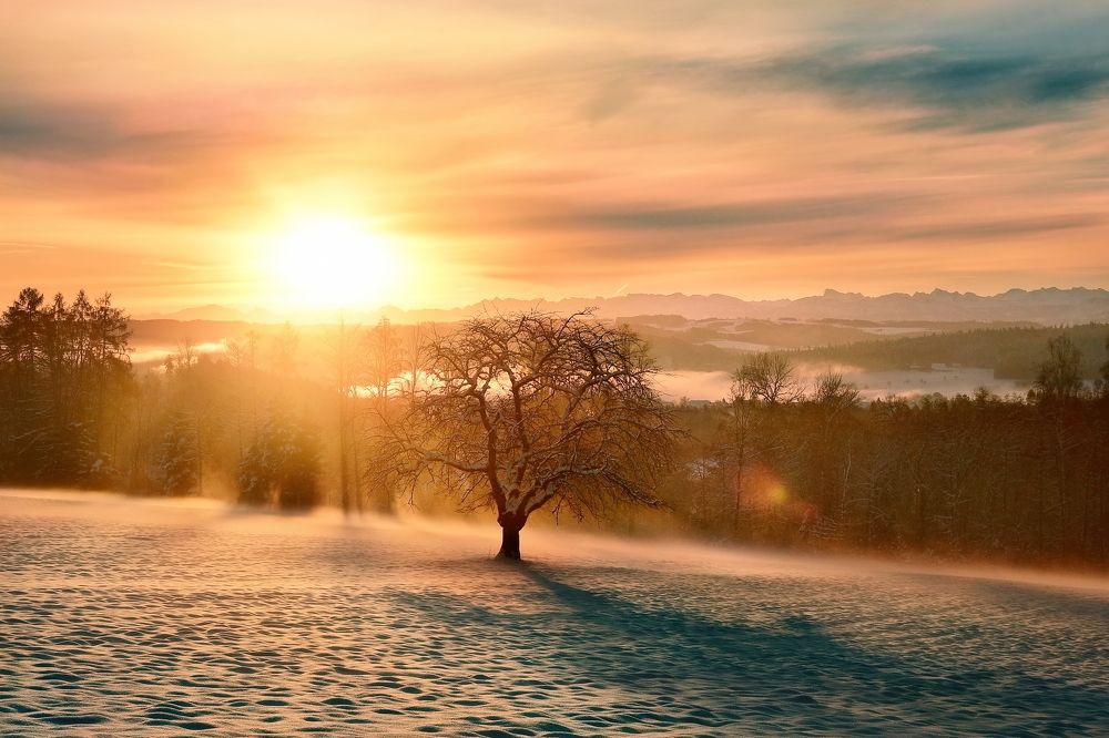 Photograph by Wymann Elena