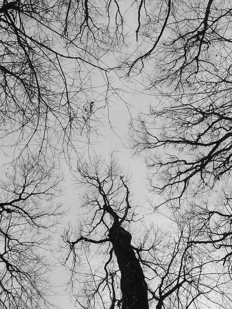 Фотография автора Илья Сергеев