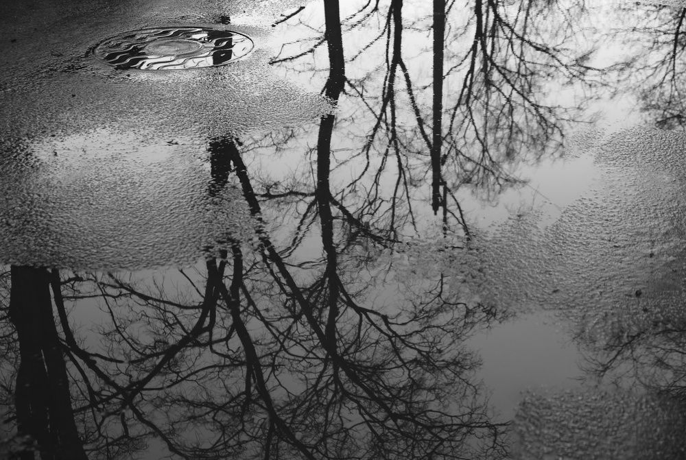 Photograph by Юля Чернецкая