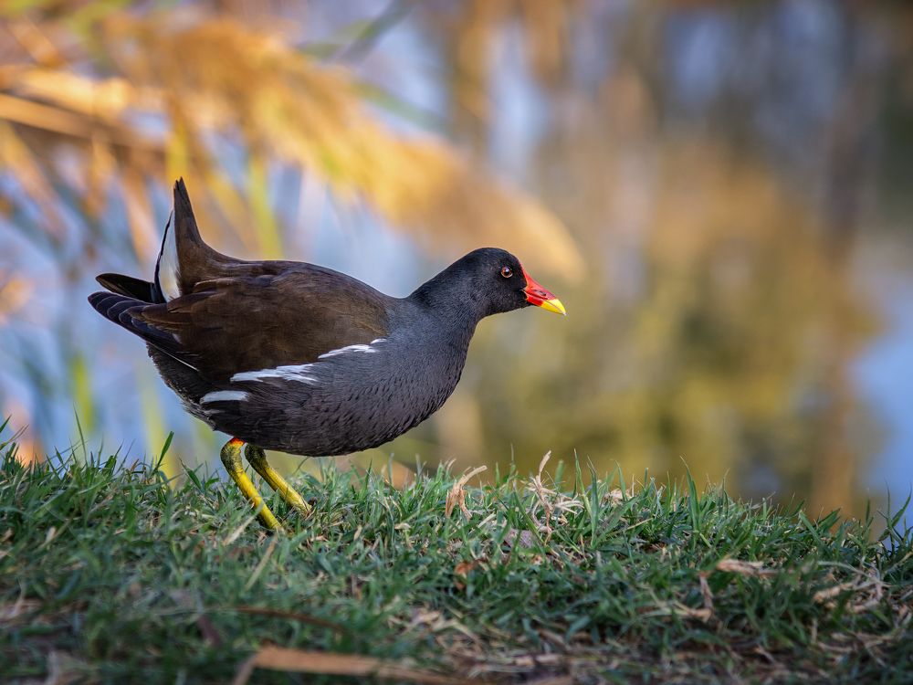 Photograph by Марина Ческис