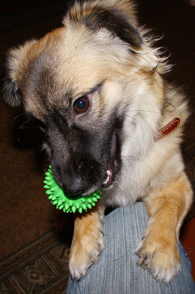 Photograph by Сергей Шистеров