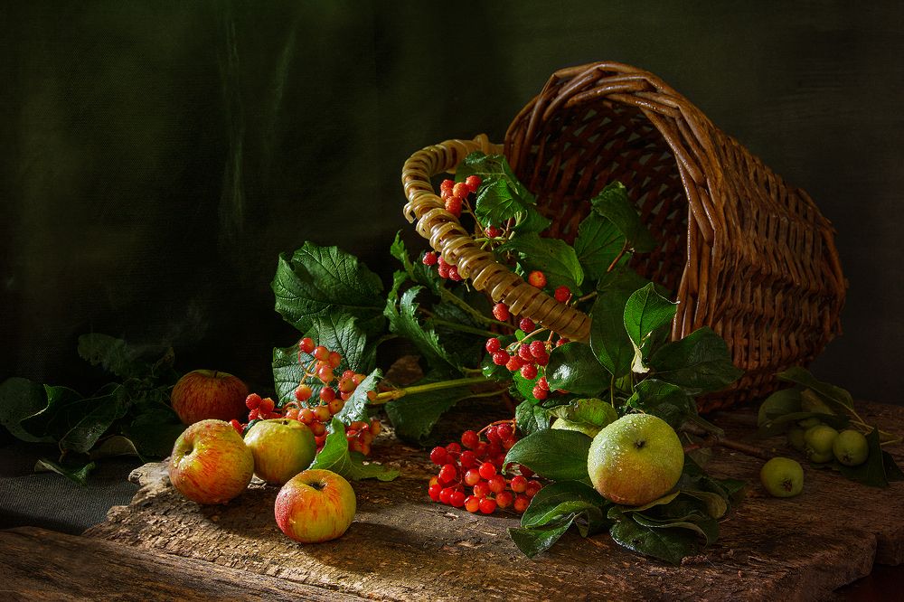 Photograph by Баг Алексей