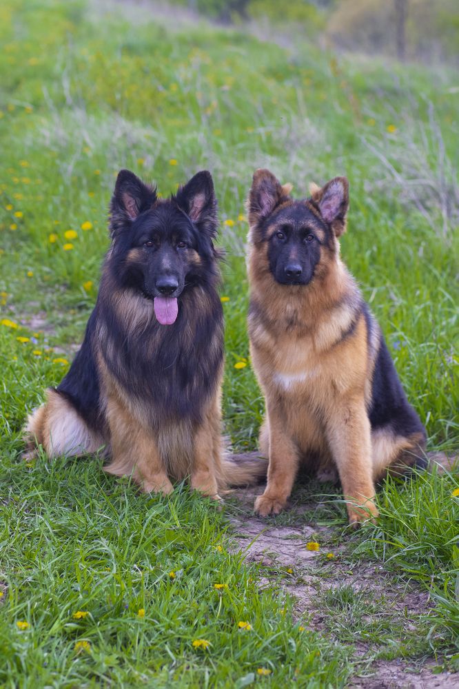 Photograph by Светлана Карнаух