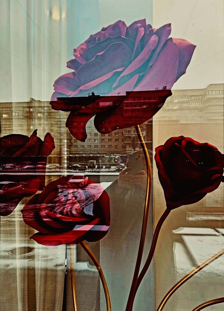 Photograph by Елена Маркова