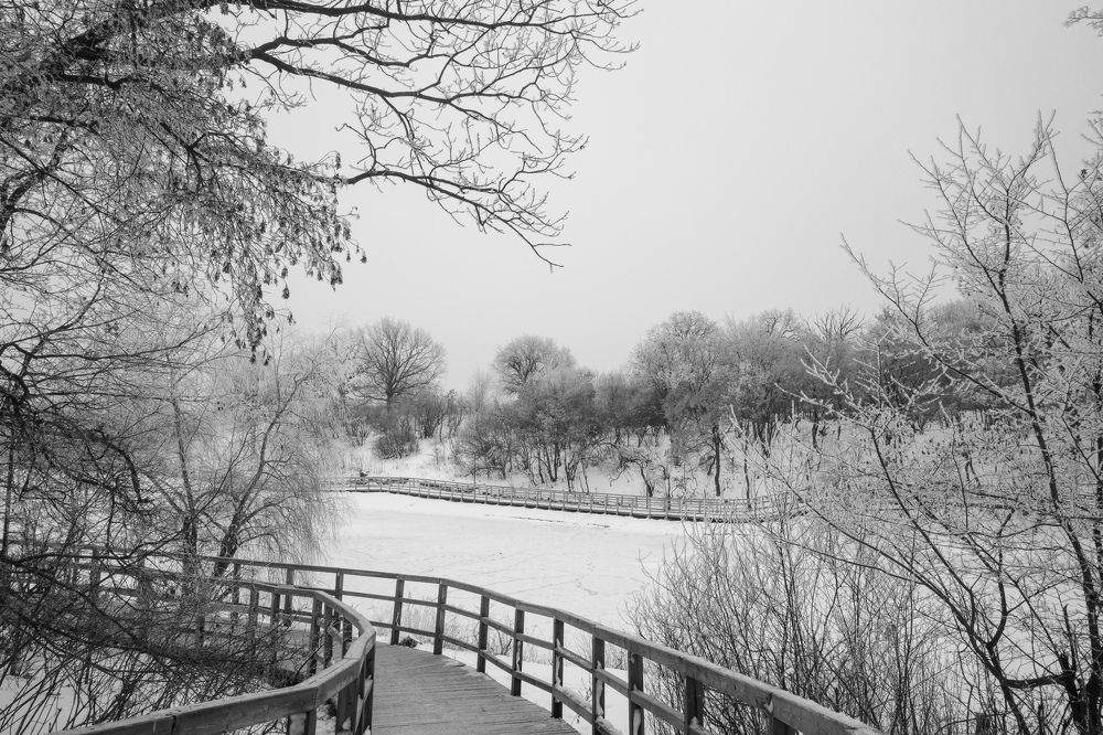 Photograph by Алла Никушкина