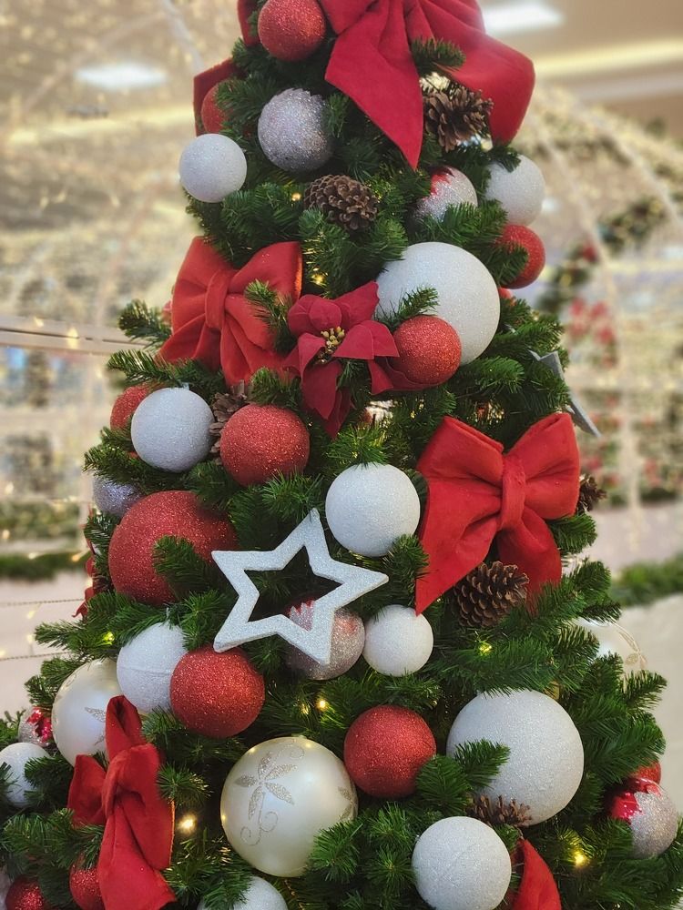 Photograph by Juliana