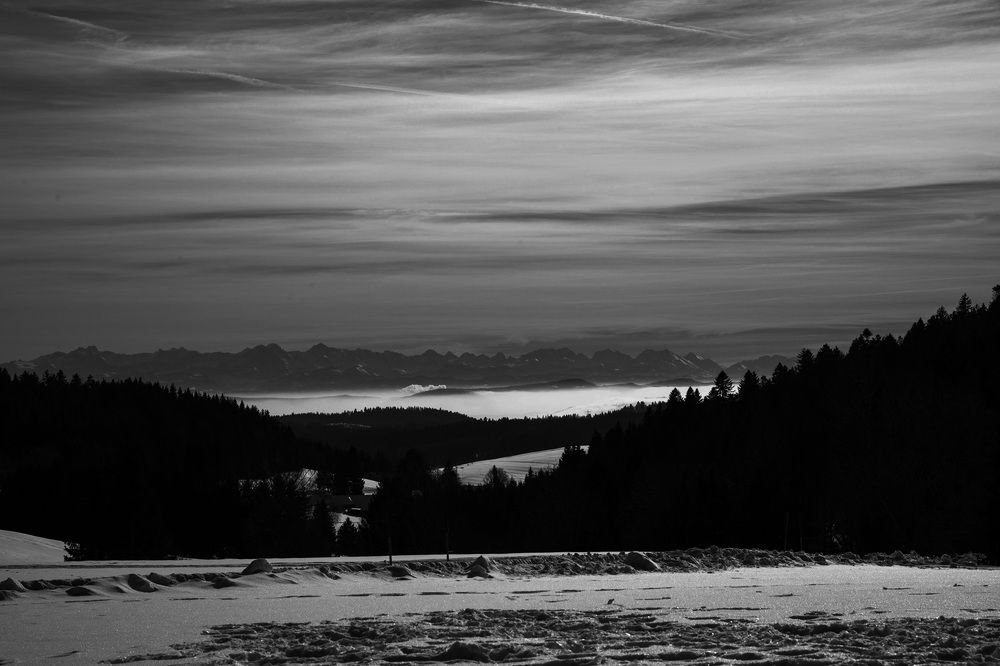 Photograph by Emy Maike