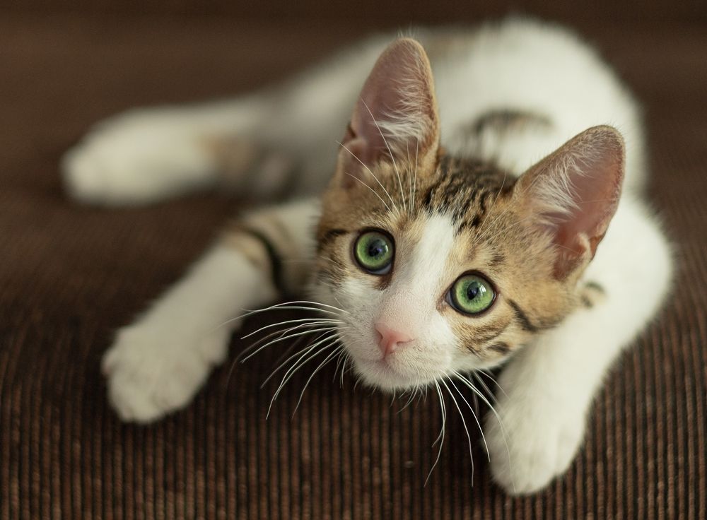 Photograph by Zhdanova Maria