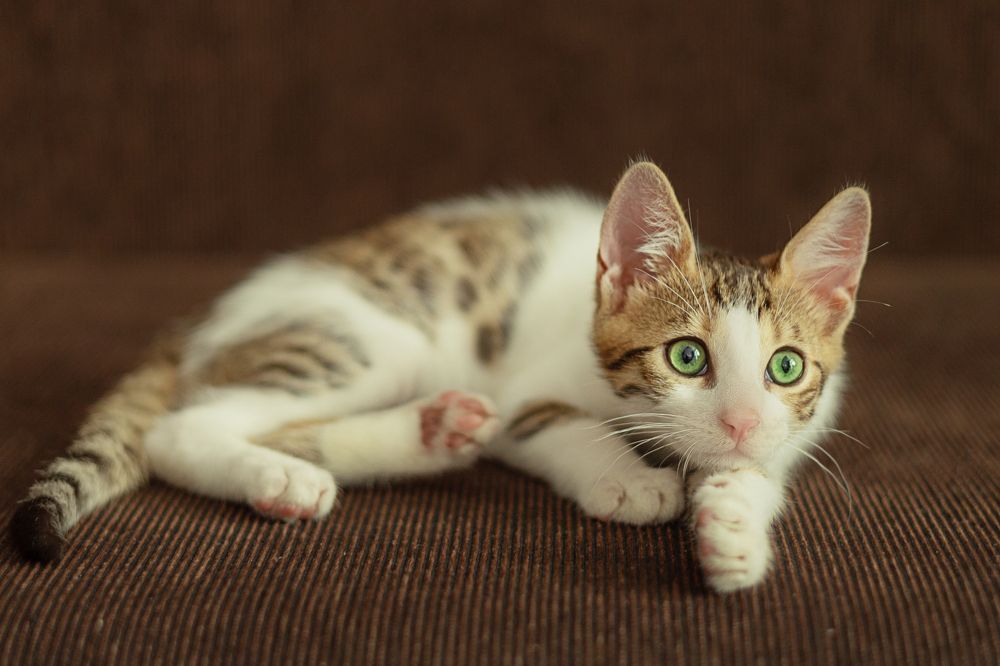 Photograph by Zhdanova Maria