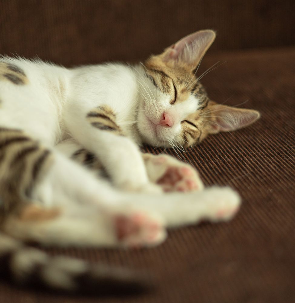 Photograph by Zhdanova Maria