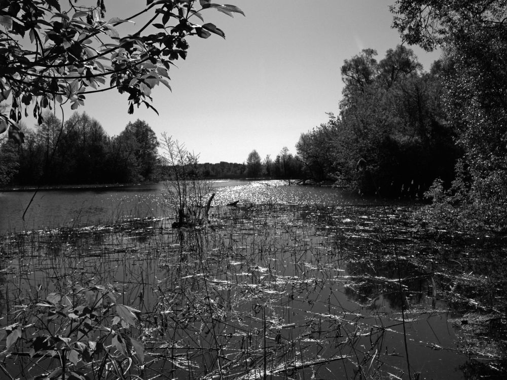 Photograph by Игорь Шевердин