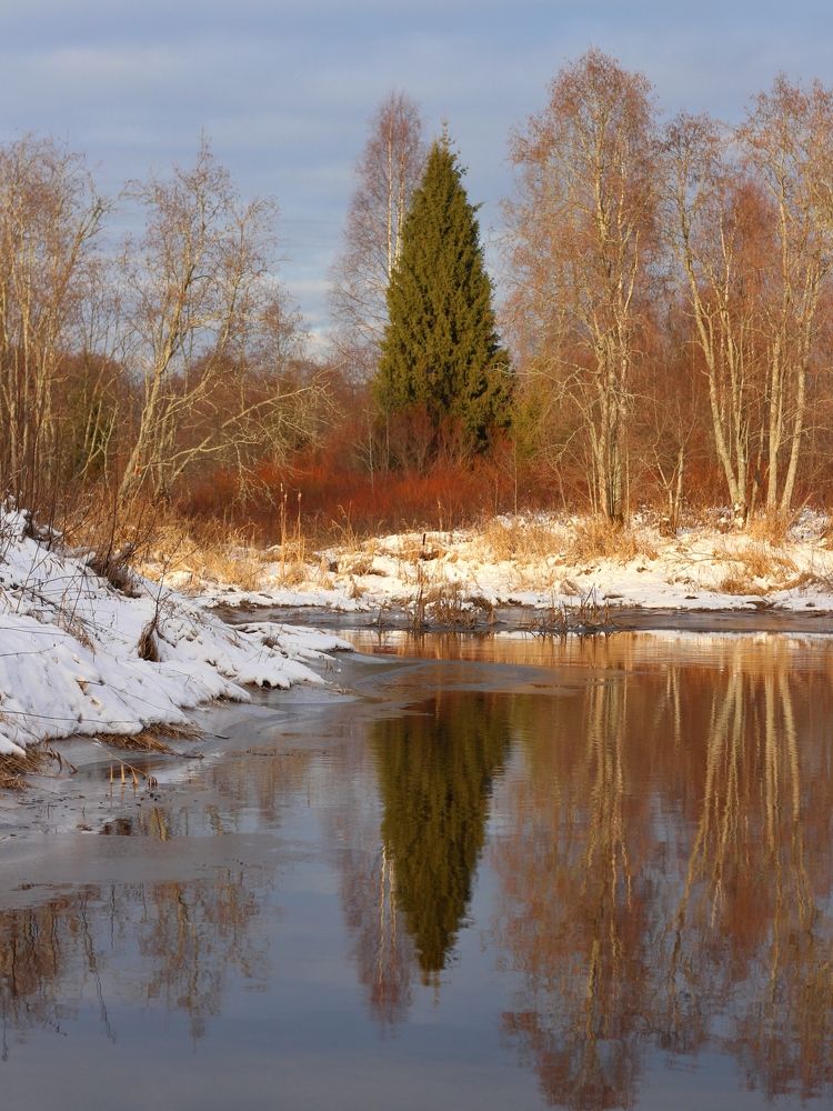 Фотография автора Андрей Шестаков