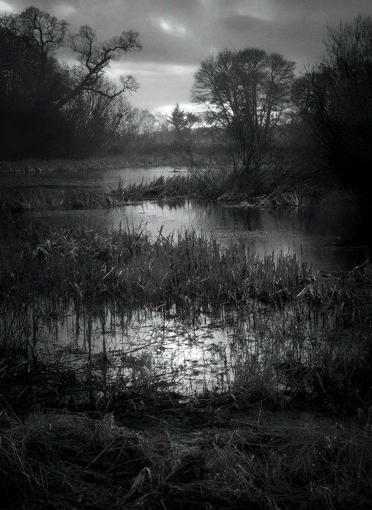 Фотография автора Michael Gault