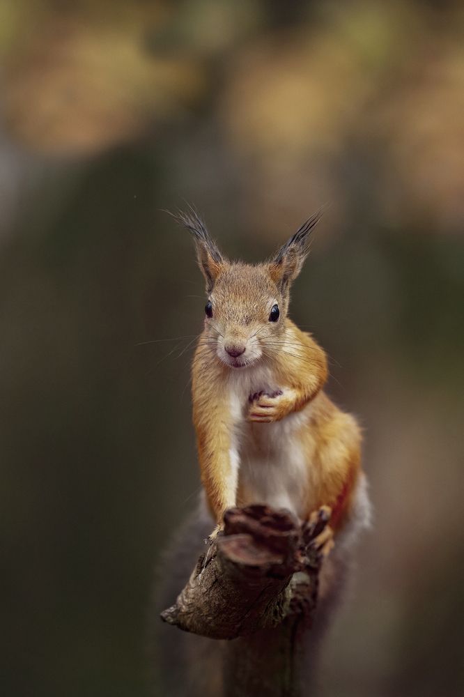 Photograph by Ernestas Balcikonis