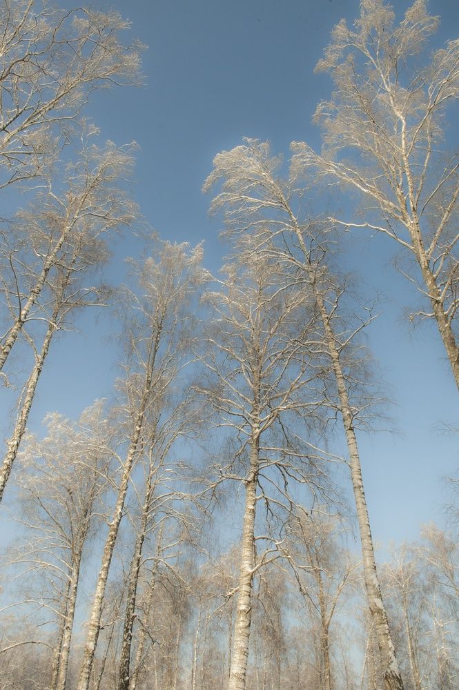 Photograph by Oleg Kogut