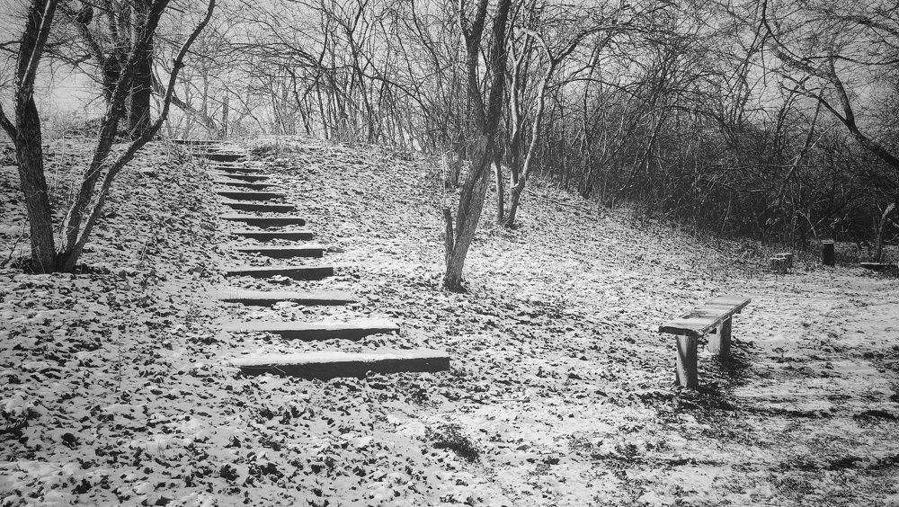 Photograph by Литвинова Галина