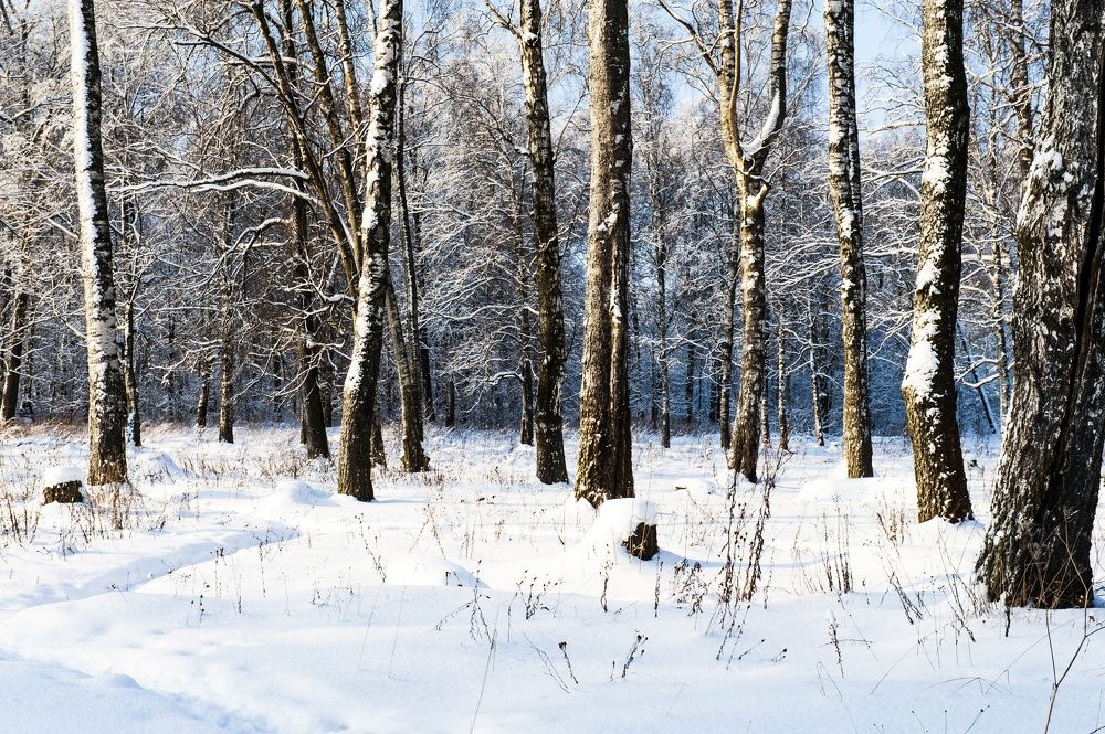 Photograph by Oleg Kogut