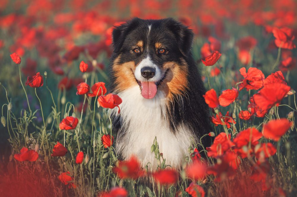 Photograph by Яна Нарбутович