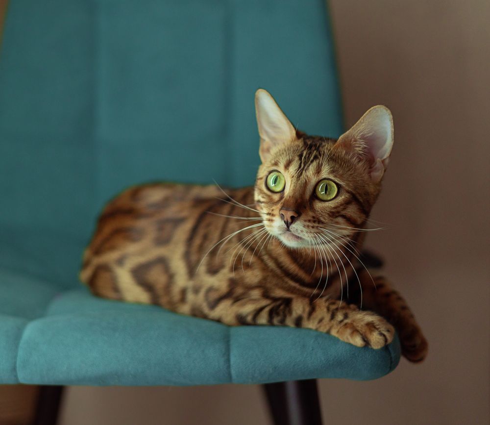 Photograph by Zhdanova Maria