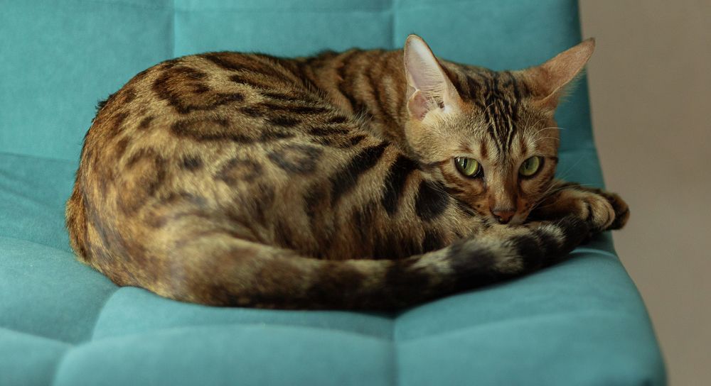 Photograph by Zhdanova Maria