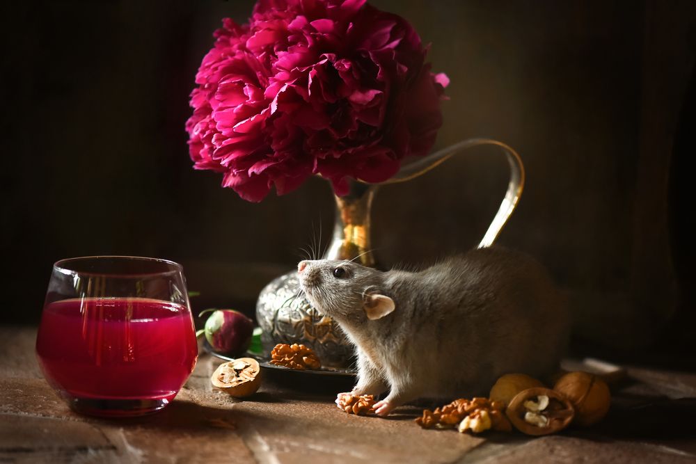 Photograph by Кос Виктория