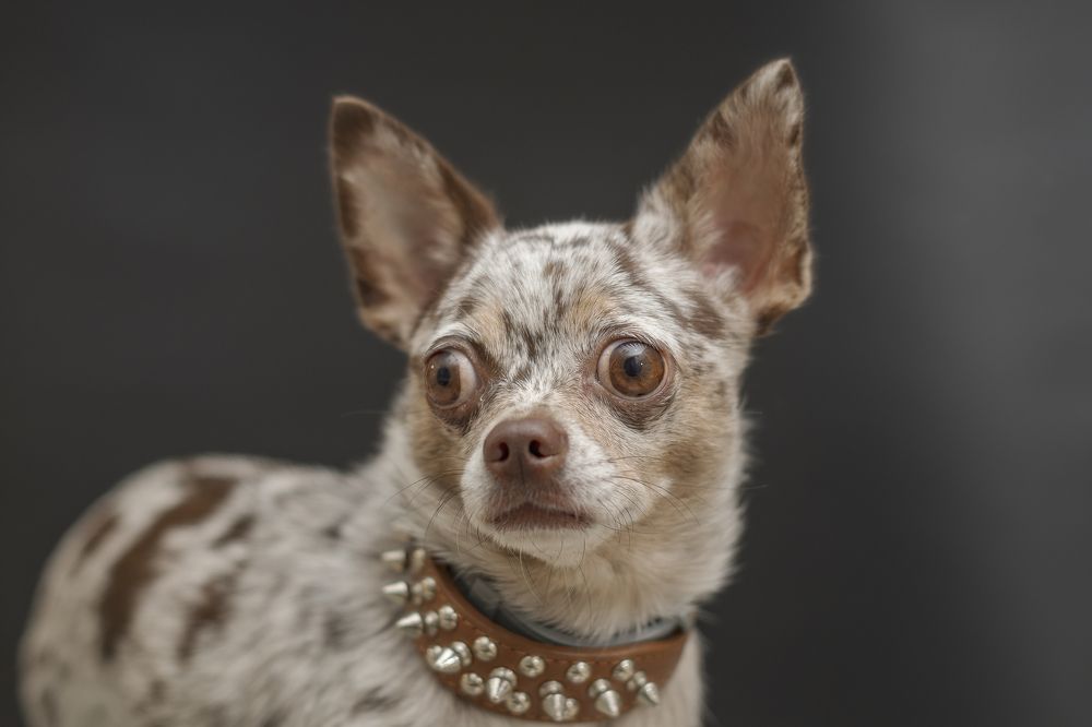 Photograph by Демьян Лопатов