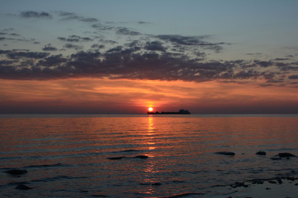 Фотография автора Ирина Дашевская