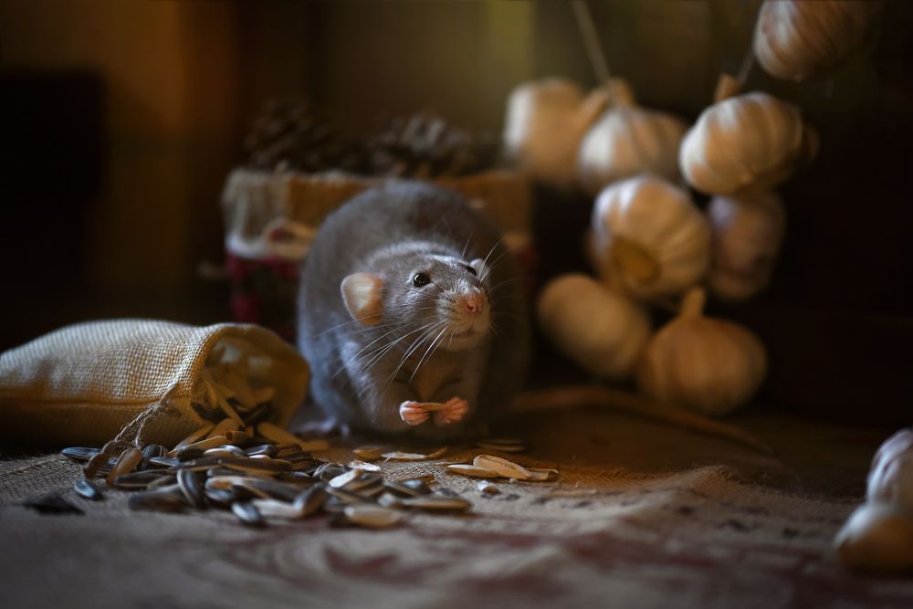 Photograph by Кос Виктория