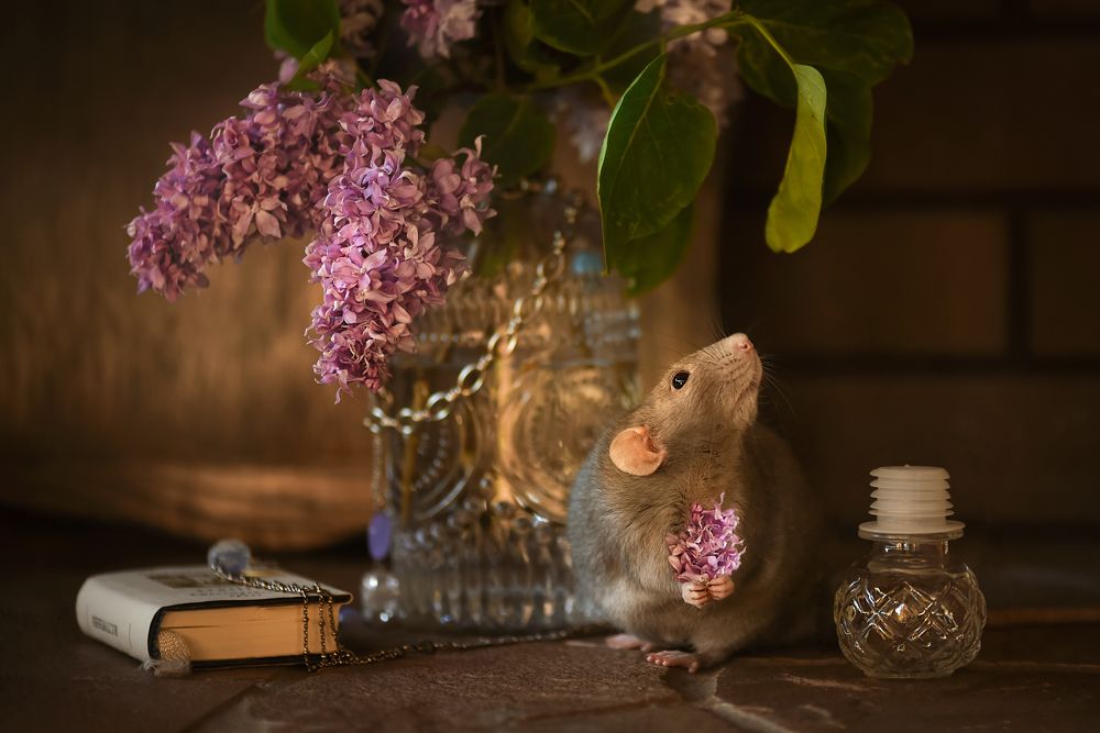 Photograph by Кос Виктория