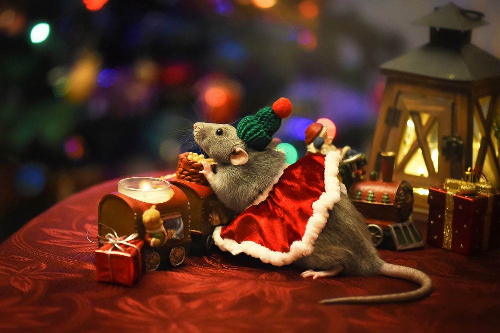 Photograph by Кос Виктория