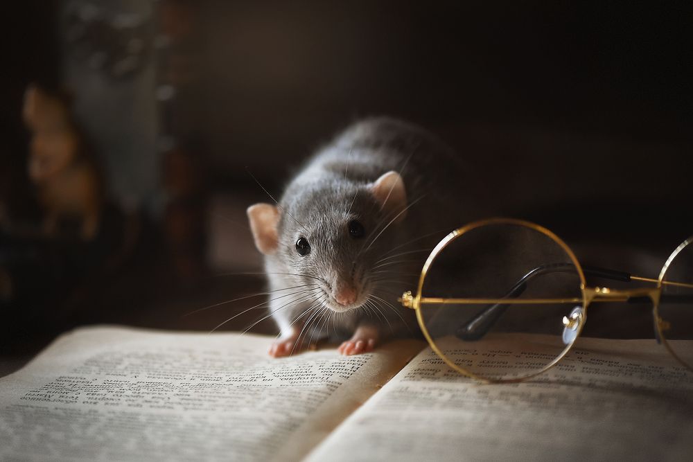 Photograph by Кос Виктория