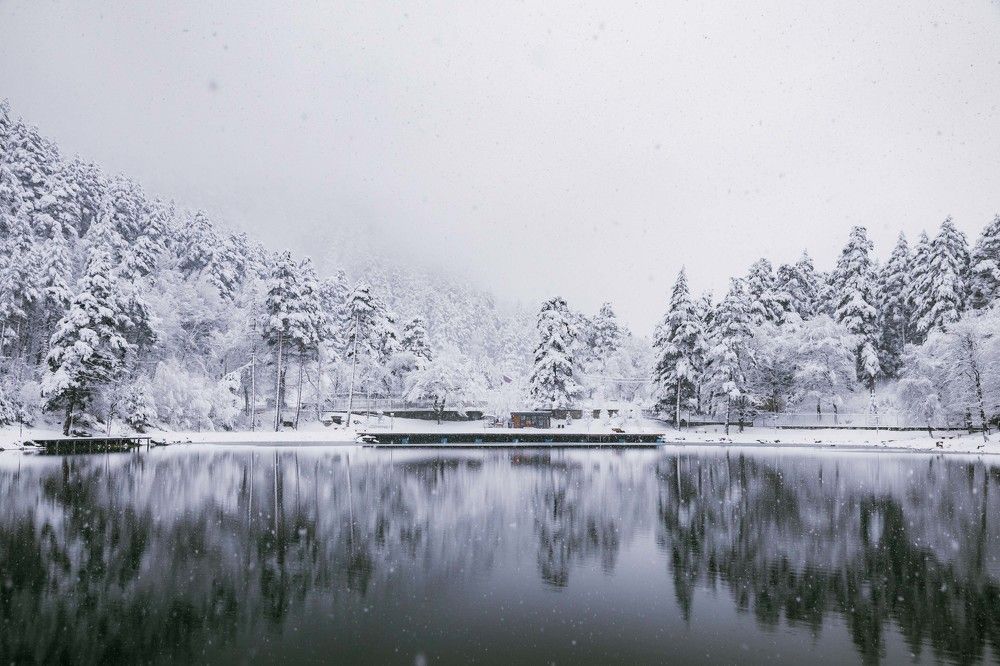 Photograph by Матвеев Денис