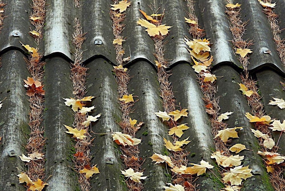 Photograph by Леонид Шнейдерман