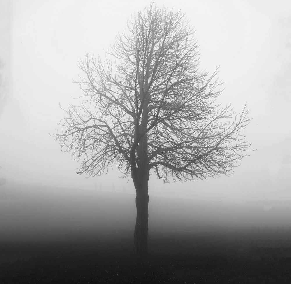 Фотография автора Дмитрий Кетов