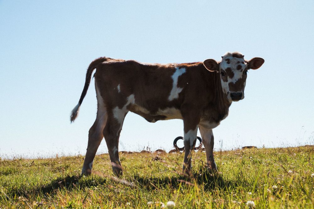 Photograph by Матвеев Денис