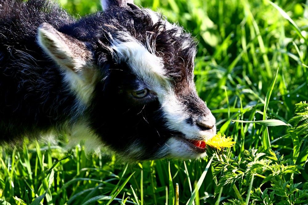 Photograph by Владимир Говоров