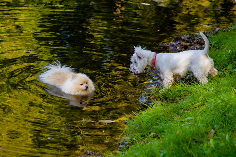 Photograph by Владимир Говоров