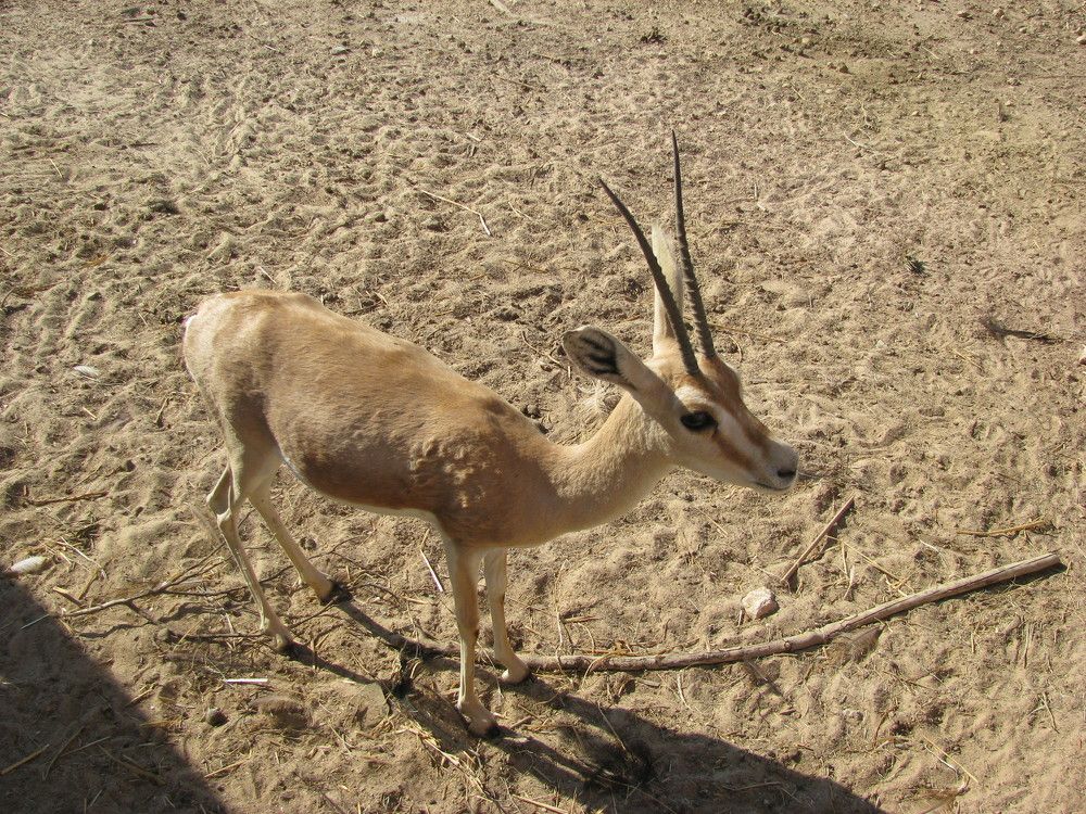 Photograph by Татьяна Ненюхина