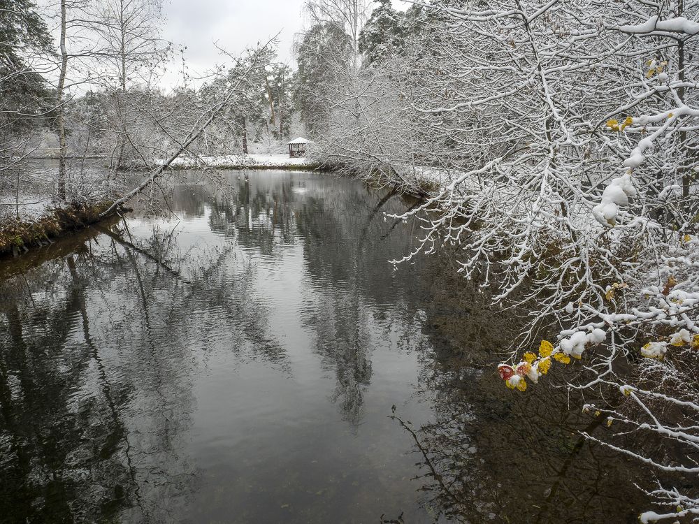 Зима началась