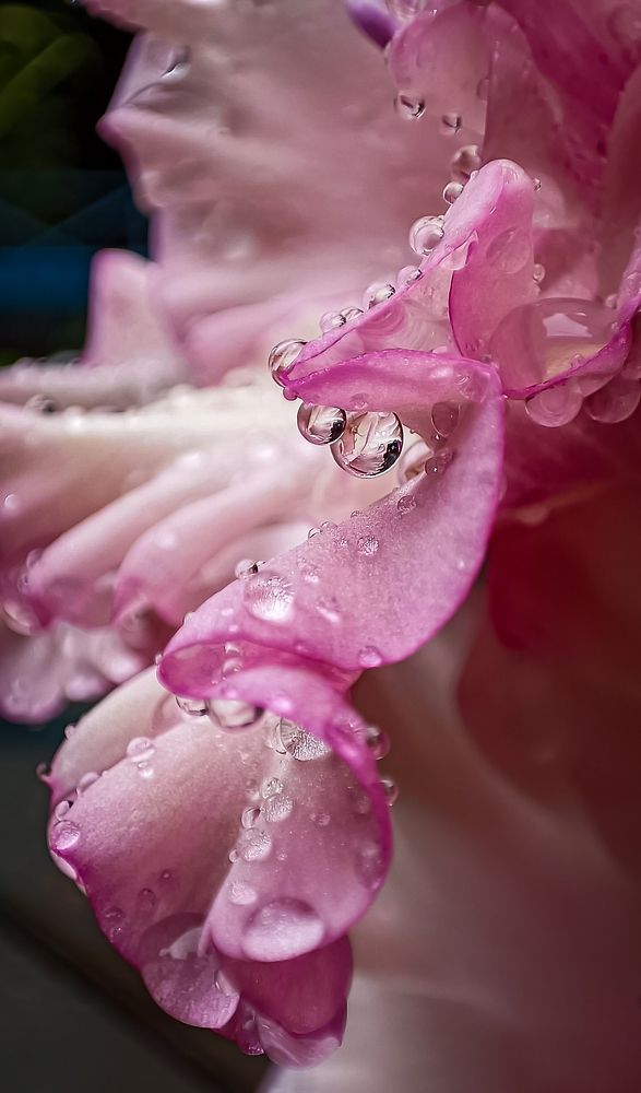 Photograph by Наташа Шибаева