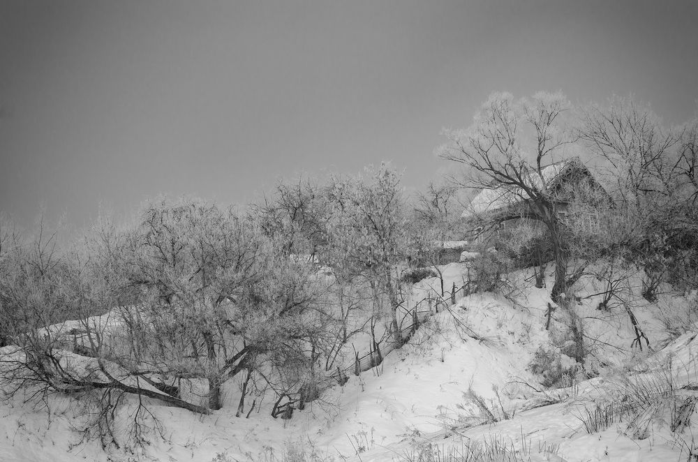 Дом на пригорке