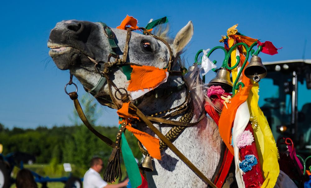 Photograph by Владимир Говоров