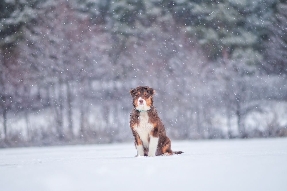 Фотография автора Мария Климова